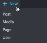 Add New Menu
