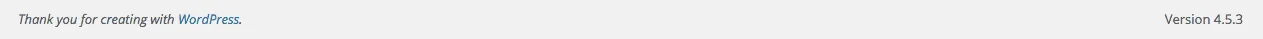 Admin Panel Footer