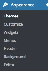 Appearance Menu