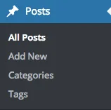 Posts Menu