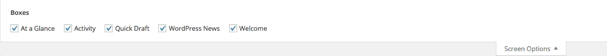 Screen Options Tab